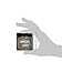 Natural Whitening Tooth & Gum Powder with Activated Charcoal (2.75 oz Cinnamint)
