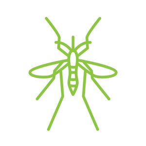 2 Buggins+Natural+Repellent+No+See+Ums+Original