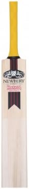 Newbery Krakatoa Magma Junior Handmade Cricket Bat (2017)