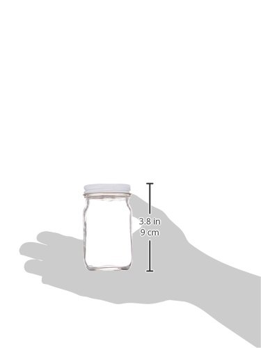 BADGER 4 oz Jar with Lid Model 250 Mini & 260