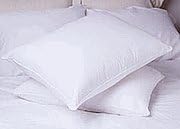 Trillium Polyester Standard Pillow by National Sleep Products