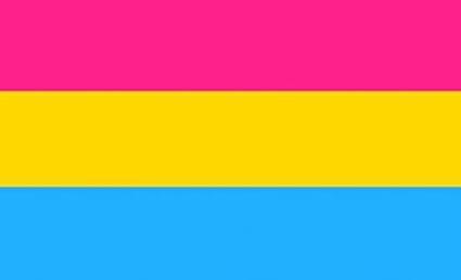 Amazon.com : Perfectflags Pansexual Flag 5ft x 3ft Large - 100 ...
