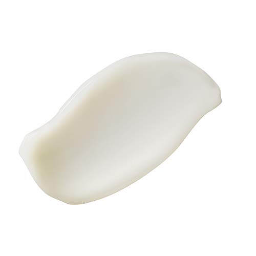Perricone M.D. Hyaluronic Moisturizer - Image 4