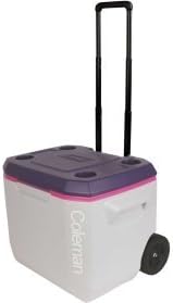 purple coleman cooler