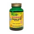 Solgar SFP Stinging Nettle Leaf Extract Vegetable Capsules