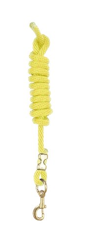 Perri’s Poly Nylon Lead with Snap, Yellow, 8-Feet