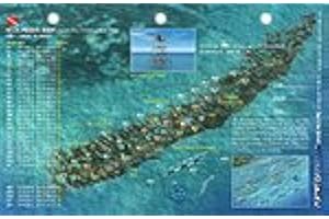 Art to Media Dive Map - Molasses Reef