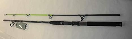 zebco big cat casting rod