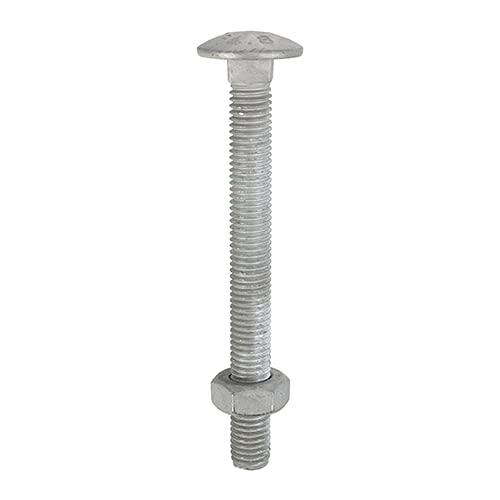 M10 x 200mm Carriage Bolts & Hex Nuts - Hot Dipped Galvanised - Box of 10