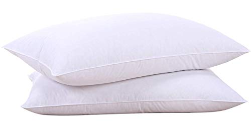puredown Goose Feather and Down Pillow