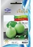 Bottle Gourd Round Shape (14 Seeds) quality Seeds - 1 Package From Chai Tai, Thailand