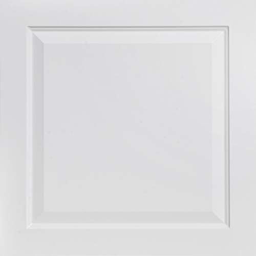 From Plain To Beautiful In Hours 505 Raised Panel PVC 2' x 2' Lay-in Ceiling Tile (Covers / 4 sq.ft), Pack of 1, White Matte