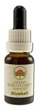 Bluebell Individual Essences - 15 ml,(Australian Bush Flower Essences)