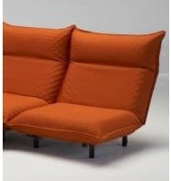Amazon フランスベッド Lifit ライフィット ソファベッド Ss 本体 替えカバー オレンジ 並行輸入品 不明 ベッド ベッドフレーム 通販