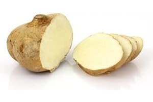 TROPICAL IMPORTERS Fresh Jicama (5lb)