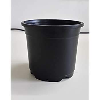 Synergy Plast Plastic Pot, Black, 3 in, 100 Pieces