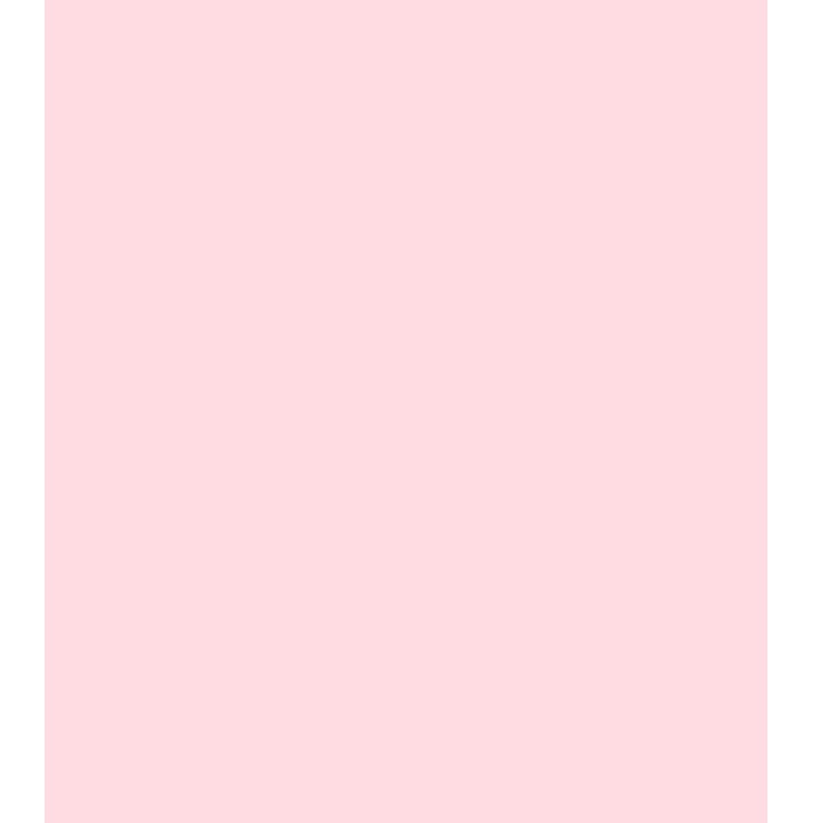ARK A4 240gsm Colored Card Stock Pack of 10 Sheets (Light Pink)