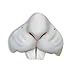 Forum Novelties - Easter Bunny Rabbit Nose Animal Mini Mask Costume White