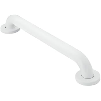 Moen R8716W Home Care 16-Inch Concealed Screw Bath Safety Bathroom Grab Bar, Glacier
