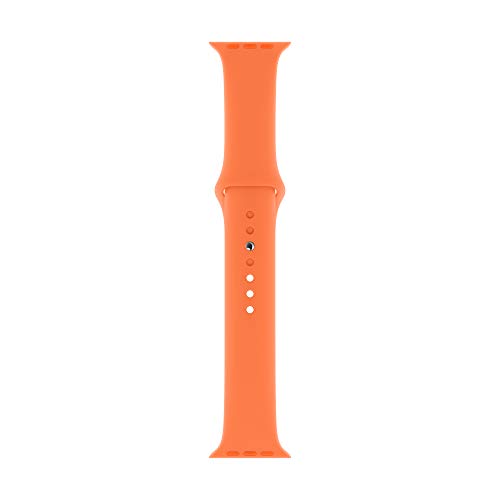 Apple Watch Sport Band(40mm) Vitamin C Regular Pricepulse
