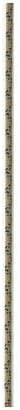 New England 7mm Prusik Cord 50' Gold