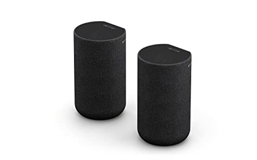 Sony SA-RS5 kabellose zweifache Rear-Lautsprecher mit integriertem Akku (180W Gesamtleitung), Schwarz