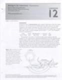 Photosynthesis : Separate from Biology in the Laboratory, Helms, Carl W. and Helms, Doris R., 0716793156