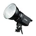 Westcott 150 300 W/S Strobelite Strobe Light