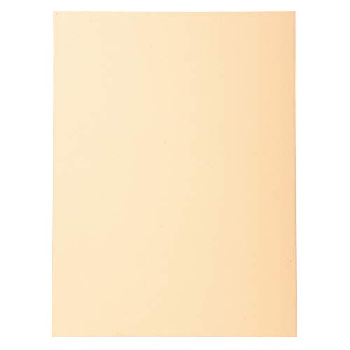 Exacompta 420002E Cartelle Semplici, 24x32 cm, Crema