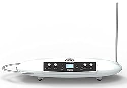 Moog Theremini Bundle with Gig