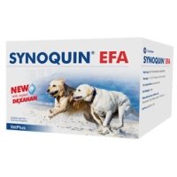synoquin medium dog