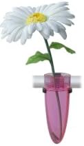 Clean Motion Bicycle Vase - Different Colors Available