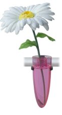 Clean Motion Bicycle Vase - Different Colors Available