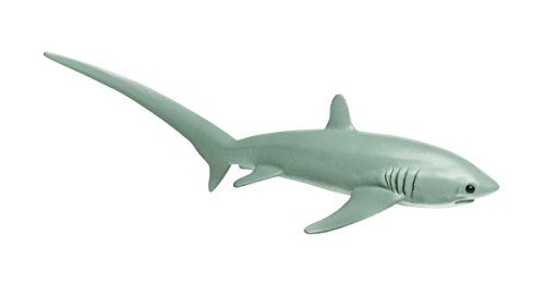 Safari Ltd. Wild Safari Sea Life Thresher Shark