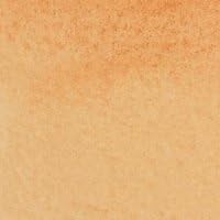 Winsor & Newton Pigment Markers - Burnt Sienna