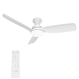 Consciot Ceiling Fan, Ceiling Fan With Lights