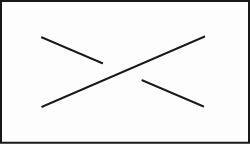 IMS XL Pro P2516 25E 25EC 25EEA 265P white labels 8 rolls