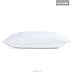 SLEEP TITE ENCASE Lab Certified Bed Bug Proof Pillow Protector - Hypoallergenic - 100% Waterproof - Queen Pillow Protector - Set of 2