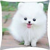 Teacup Pomeranian Puppy "Maxie" - Throw Pillow Cover Case (18" x 18")