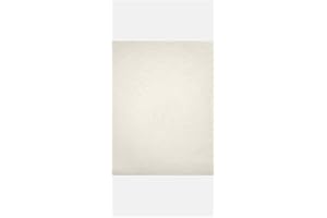 LUXPaper 11" x 17" Paper | Tabloid Size | Quartz Metallic | 80lb. Text | 50 Qty