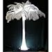 Special Sale OSTRICH Feathers Wholesale Bulk 15/18