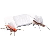 Plump White Wing Fabric by Hareline