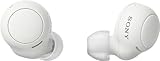 Sony True Wireless Headphones - Up to 20 Hours