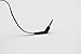 iFrogz IF-CBD-BLK Audio Coda Buds with Mic - Black