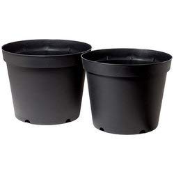 Siddhi Vinayak Gallery Plastic Plants Nursery Seedlings Pot/Pots Flower Plant Container Seed Starting 5-Inch, Black Pack of 2