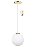 KoKo&Yukina 6-inch Mini Modern Globe Pendant Light