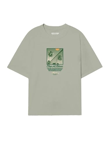 JACK & JONES Joralmeria Palms Tee SS Crew Neck Fst, Celadon Tint, L Uomo