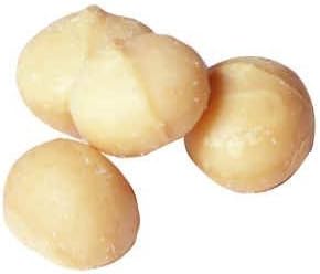 Raw Macadamia Nuts - ( 1 lb) by Snack Farms