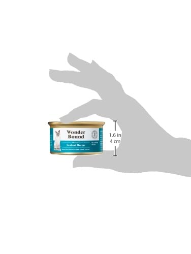 AMAZON BRAND – WONDER BOUND WET CAT FOOD, GRAVY, NO ADDED GRAIN, 3 OZ CANS, PACK OF 24 (SEAFOOD)