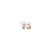 Rifle Paper Co Will You Be My Bridesmaid Card (Set of 8)